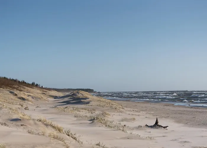 V7 Palanga