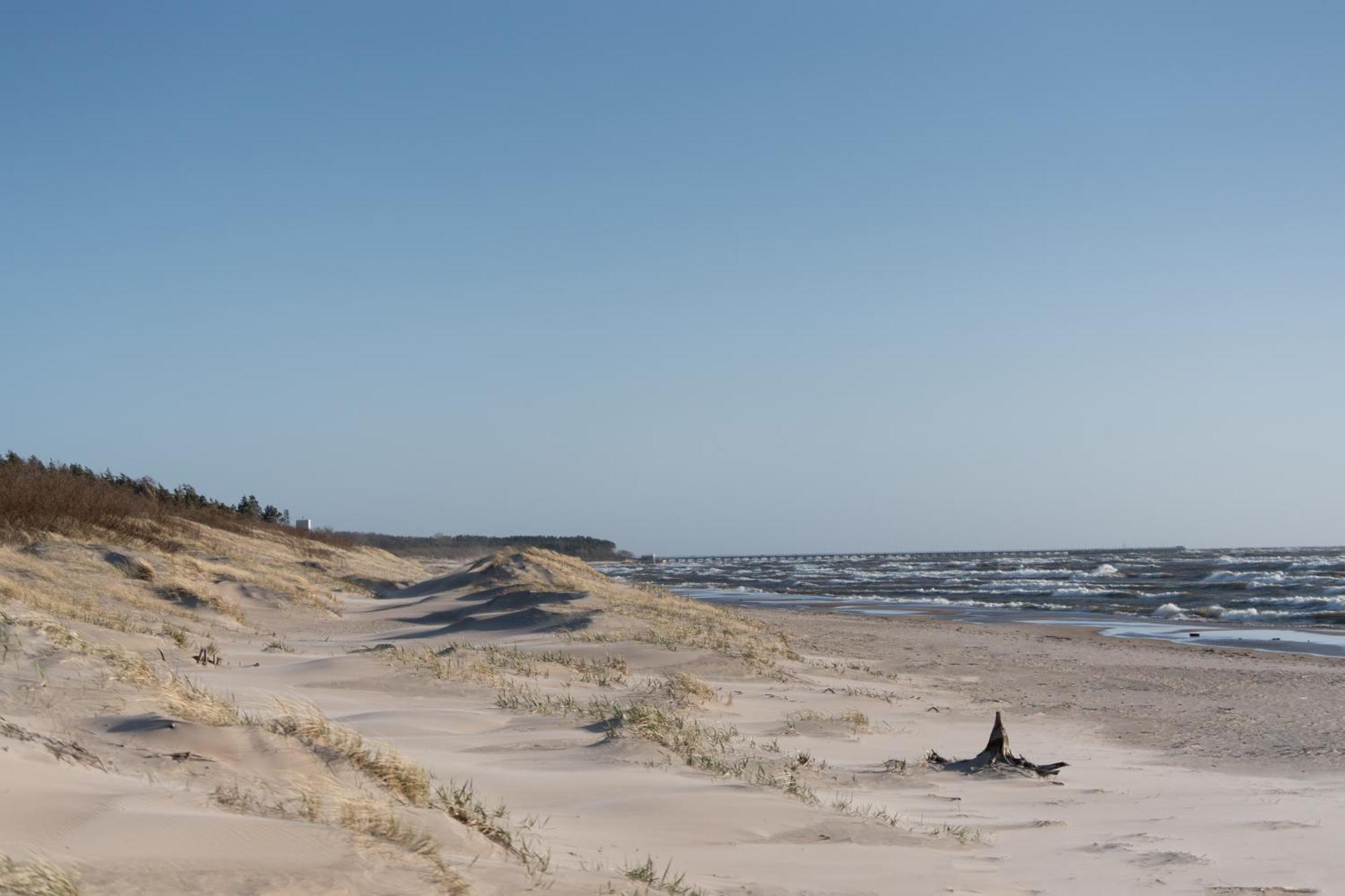 V7 * Palanga